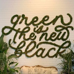 Meet your Posher, Alisa